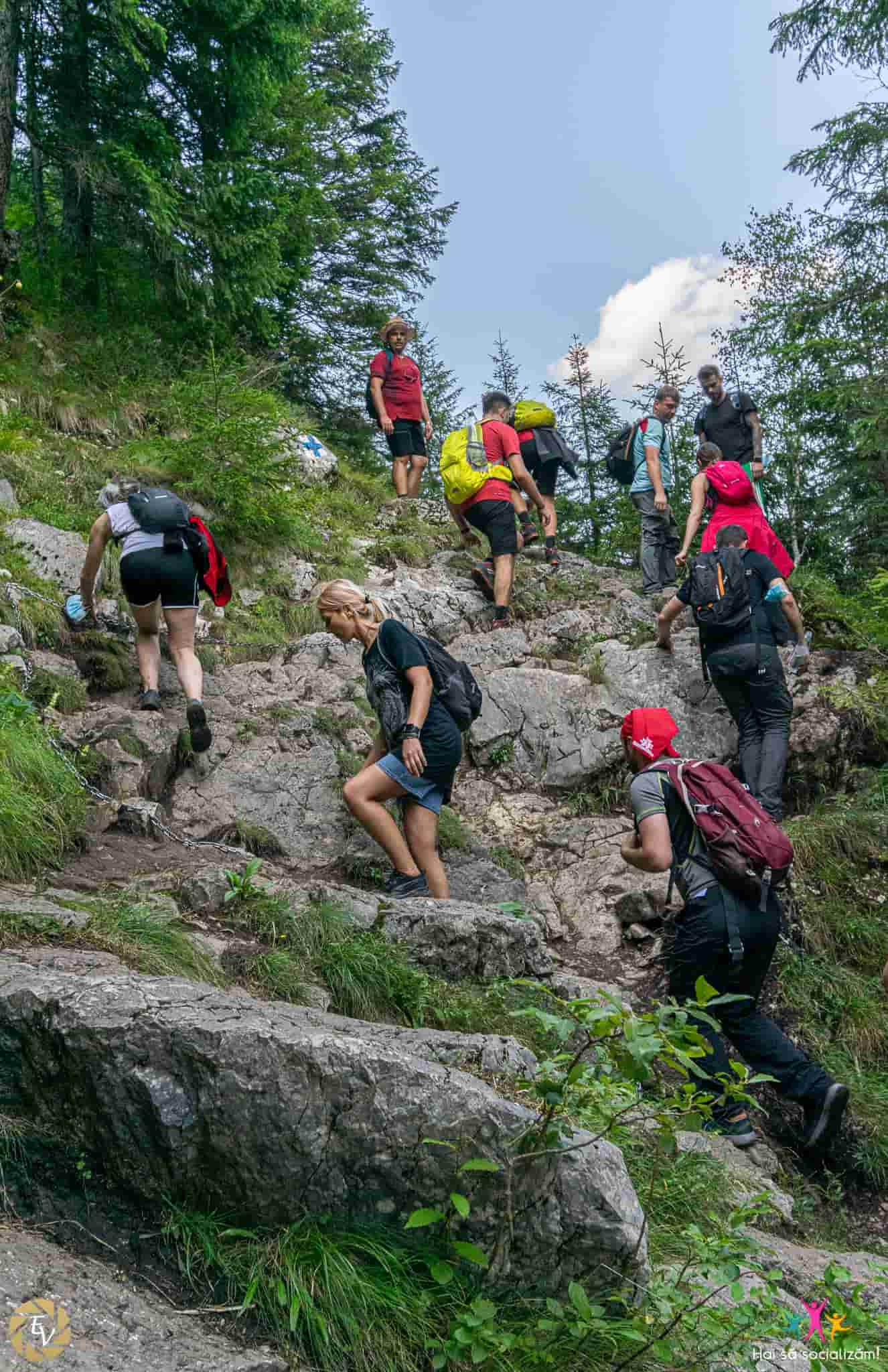 Cheile Zănoagei și Cascada 7 Izvoare