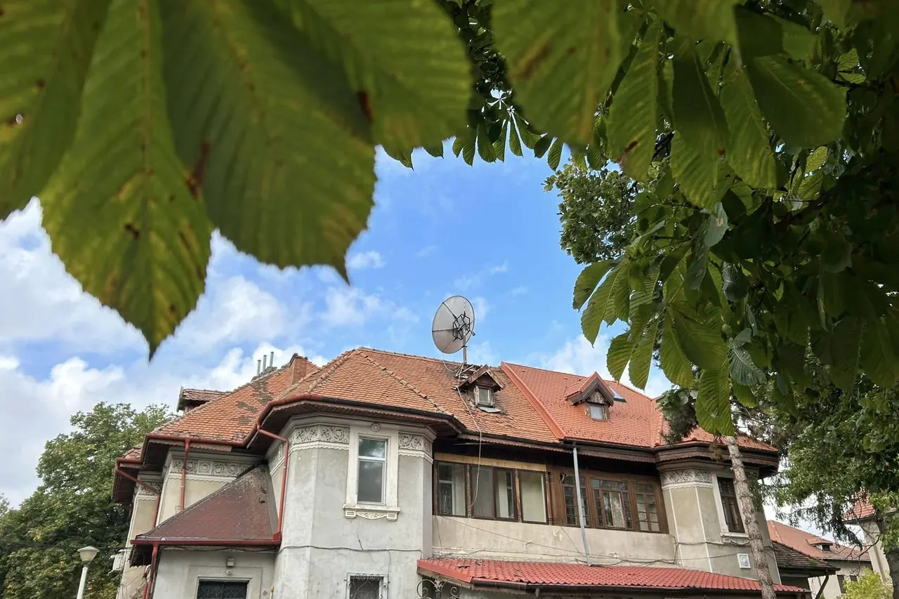 ✨ Tur pietonal: Bulevardul Kiseleff - Parcelări din timpuri diferite