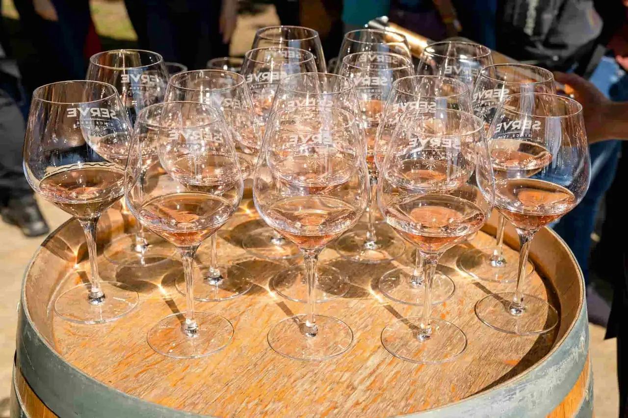 Drumeție ușoară la Năeni și degustare de vin