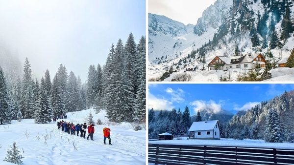 drumetie de iarna pe traseul rasnov malaiesti glajarie cu peisaj montan acoperit de zapada