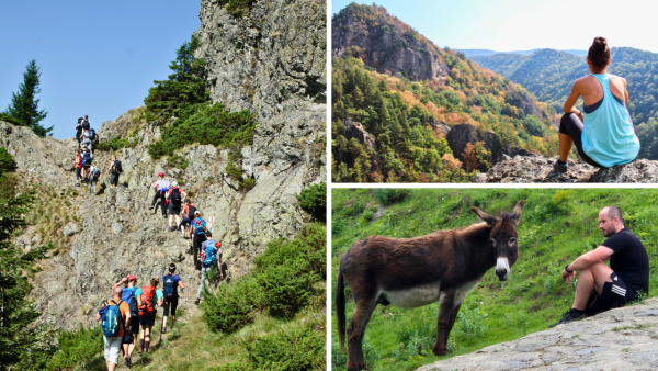 Excursie activa in Muntii Cozia cu traseu spectaculos prin padure, puncte de belvedere si socializare alaturi de grupul Hai sa socializam.